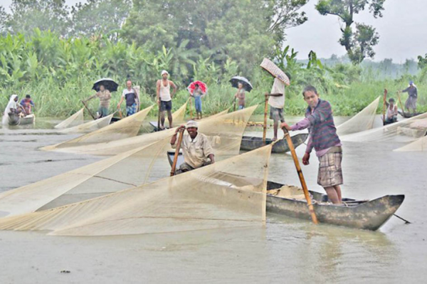 ডিম ছাড়ার জন্য উপযোগী হালদা নদীর পানি, বাড়তে পারে ডিম সংগ্রহ— বলছে গবেষণা 
