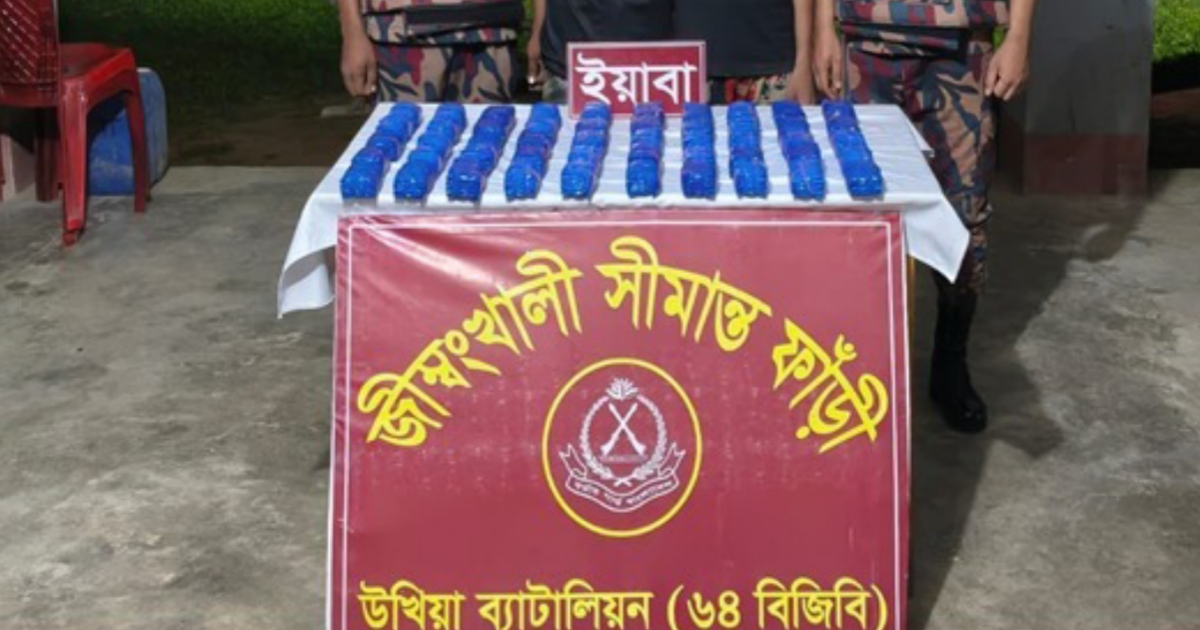 দুই সীমান্তে বিজিবির অভিযান, ৫ লাখ ২০ হাজার ইয়াবা উদ্ধার