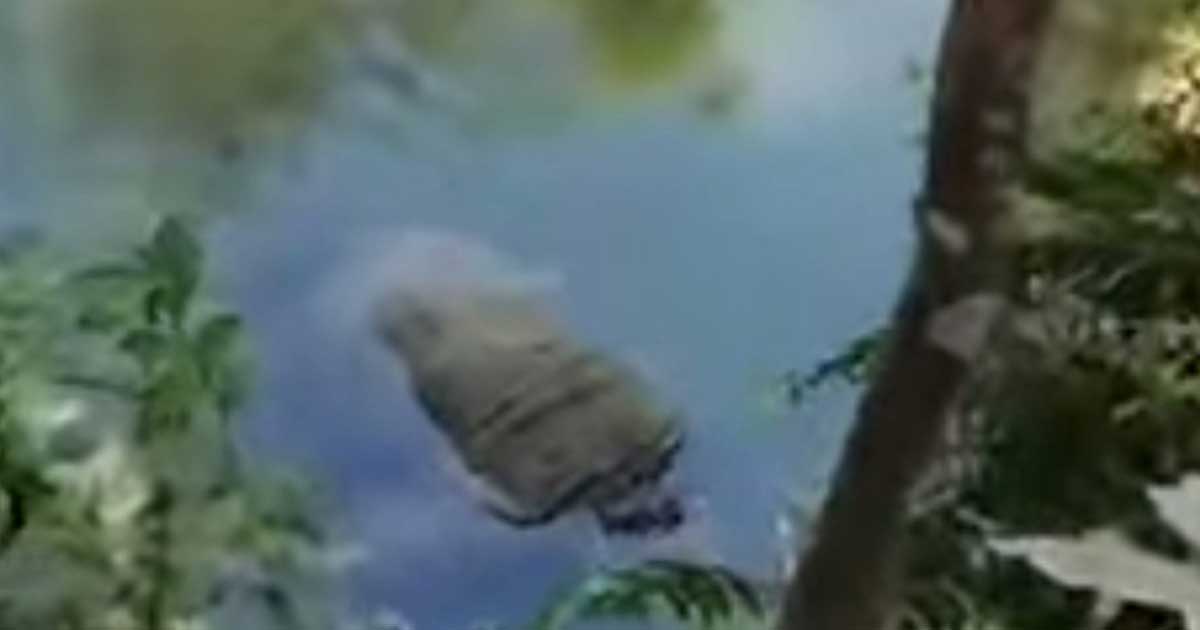 ফটিকছড়িতে মসজিদের পুকুরে ভাসছিল বৃদ্ধার মরদেহ