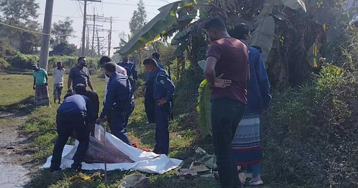 মিরসরাইয়ে মহাসড়কের পাশে অচেনা নারীর দেহ