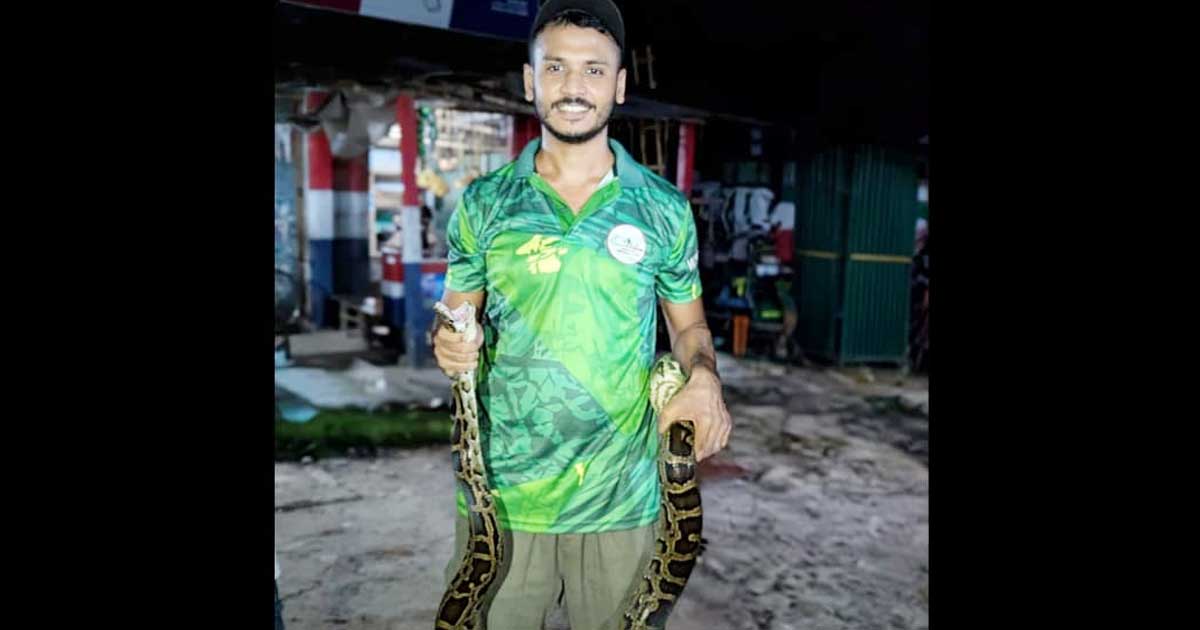 প্রকৃতির রক্ষক ইমরান, লোকালয় থেকে সাপ উদ্ধার করে ফেরান বনে