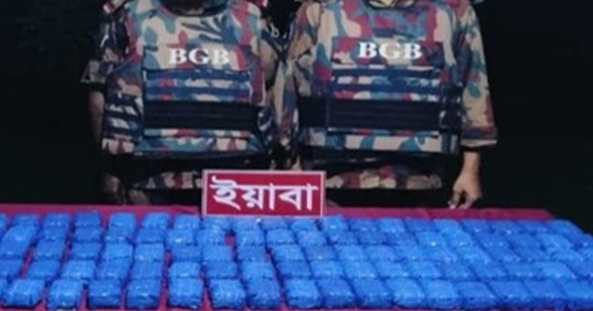 উখিয়া-টেকনাফে আড়াই লাখ ইয়াবাসহ আটক ১