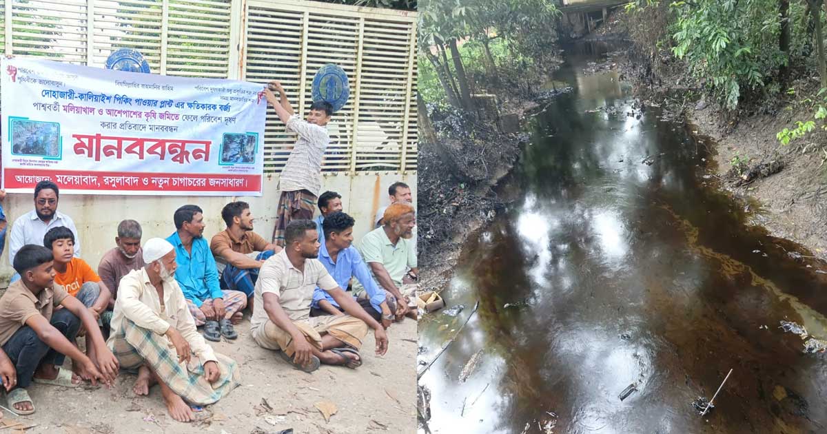 বিদ্যুৎকেন্দ্রের বর্জ্যে ফসল নষ্ট, বিপাকে সাতকানিয়ার দেড় হাজার কৃষক