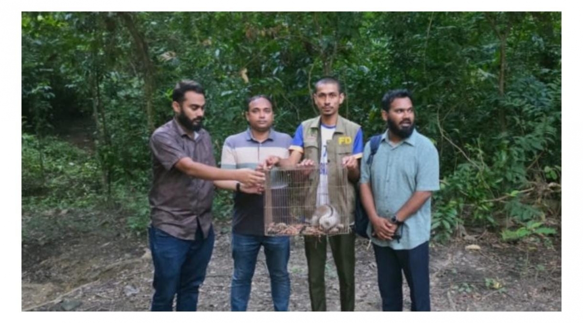 রাঙ্গুনিয়ায় উদ্ধার লজ্জাবতী বানর কাপ্তাই জাতীয় উদ্যানে অবমুক্ত