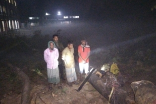 চন্দনাইশে সরকারি গাছ কেটে মামলা খেলেন তিন শ্রমিক
