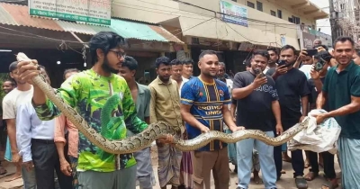 চট্টগ্রাম বিশ্ববিদ্যালয়ে ১৫ ফুট লম্বা অজগর উদ্ধার