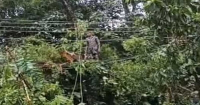৩৩ কেভি লাইনের উপর গাছ পড়ে বিদ্যুৎ বন্ধ উখিয়া-টেকনাফে ৩৩ কেভি লাইনের উপর গাছ পড়ে বিদ্যুৎ বন্ধ উখিয়া-টেকনাফে