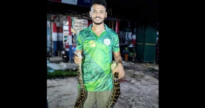 প্রকৃতির রক্ষক ইমরান, লোকালয় থেকে সাপ উদ্ধার করে ফেরান বনে প্রকৃতির রক্ষক ইমরান, লোকালয় থেকে সাপ উদ্ধার করে ফেরান বনে