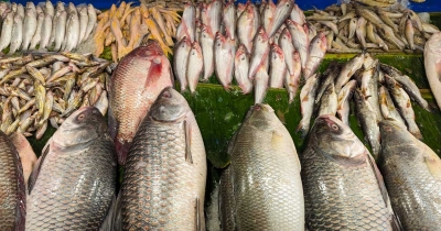 সবজিতে স্বস্তি, মাছে অস্বস্তি