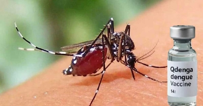 ডেঙ্গু কেড়ে নিলো শিশু আবরারের প্রাণ ডেঙ্গু কেড়ে নিলো শিশু আবরারের প্রাণ