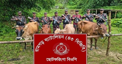 মধ্যরাতে সীমান্তে বিজিবির অভিযান, গরু ফেলে পালালো চোরাকারবারিরা মধ্যরাতে সীমান্তে বিজিবির অভিযান, গরু ফেলে পালালো চোরাকারবারিরা