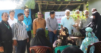 পরিবেশ রক্ষায় মমতার বৃক্ষরোপণ কর্মসূচি পরিবেশ রক্ষায় মমতার বৃক্ষরোপণ কর্মসূচি