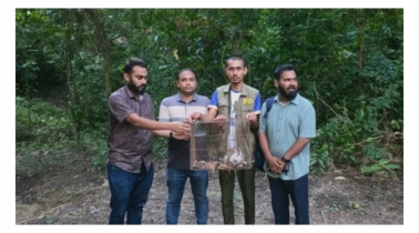 রাঙ্গুনিয়ায় উদ্ধার লজ্জাবতী বানর কাপ্তাই জাতীয় উদ্যানে অবমুক্ত রাঙ্গুনিয়ায় উদ্ধার লজ্জাবতী বানর কাপ্তাই জাতীয় উদ্যানে অবমুক্ত