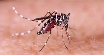 ডেঙ্গু শক সিনড্রোমে শিশুর মৃত্যু