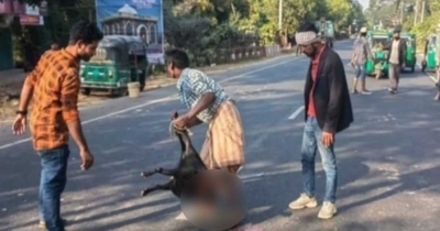 দুর্ঘটনা ঠেকাতে সড়কে ছিটানো হল পশুর রক্ত দুর্ঘটনা ঠেকাতে সড়কে ছিটানো হল পশুর রক্ত