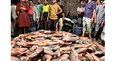 সাগরে এক জালে ধরা পড়ল ৩১ লাখ টাকার কোরাল সাগরে এক জালে ধরা পড়ল ৩১ লাখ টাকার কোরাল