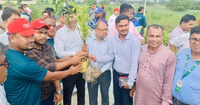 কর্ণফুলীতে বৃক্ষরোপণ কর্মসূচি: মমতার ৪,৫০০ চারা বিতরণ