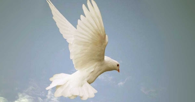 আত্মার জাগরণ — তাসাউফের পথে