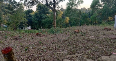 বাঁশখালীতে কবরস্থান পরিষ্কারের নামে বাগানের গাছ কেটে সাবাড় বাঁশখালীতে কবরস্থান পরিষ্কারের নামে বাগানের গাছ কেটে সাবাড়