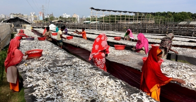 কর্ণফুলীর তীরের শুটকি