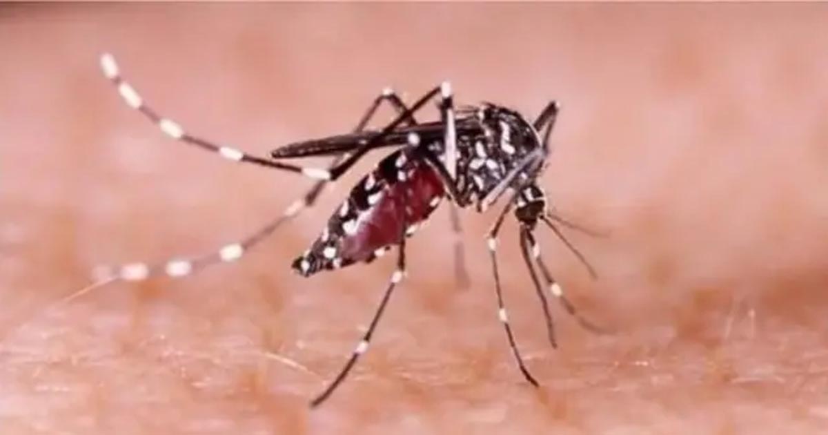 ডেঙ্গু শক সিনড্রোমে শিশুর মৃত্যু