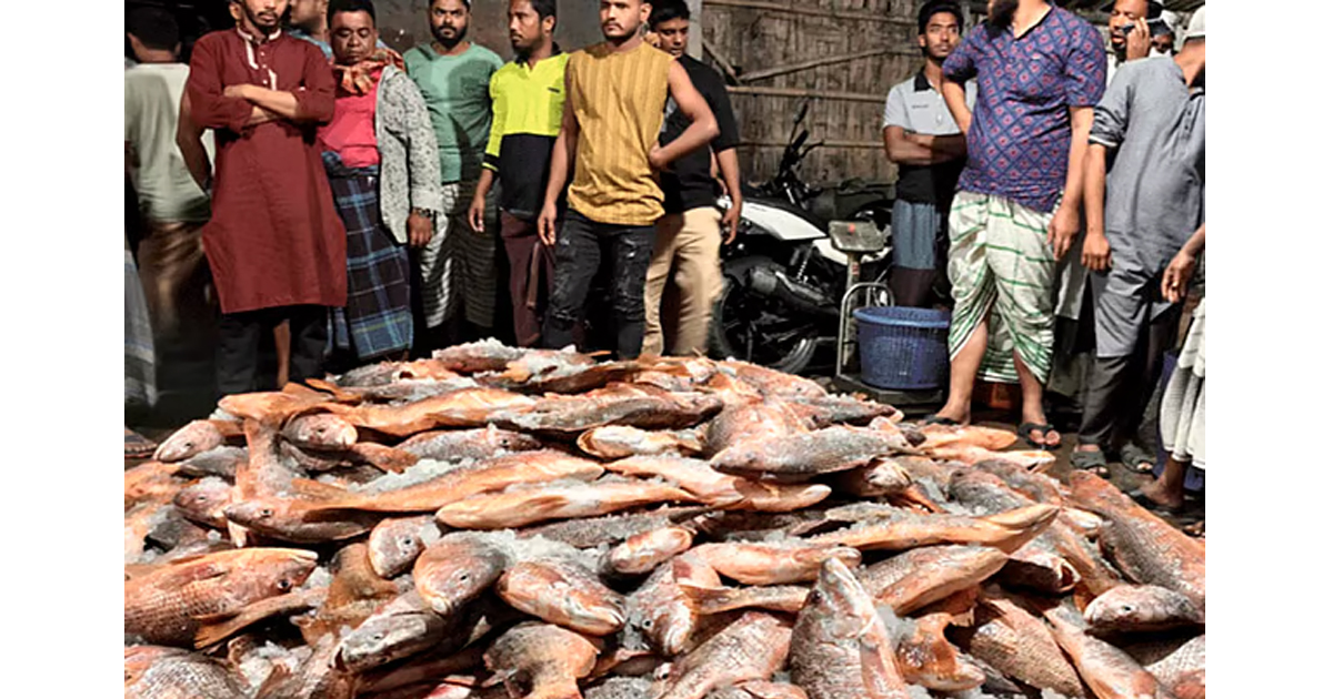 সাগরে এক জালে ধরা পড়ল ৩১ লাখ টাকার কোরাল