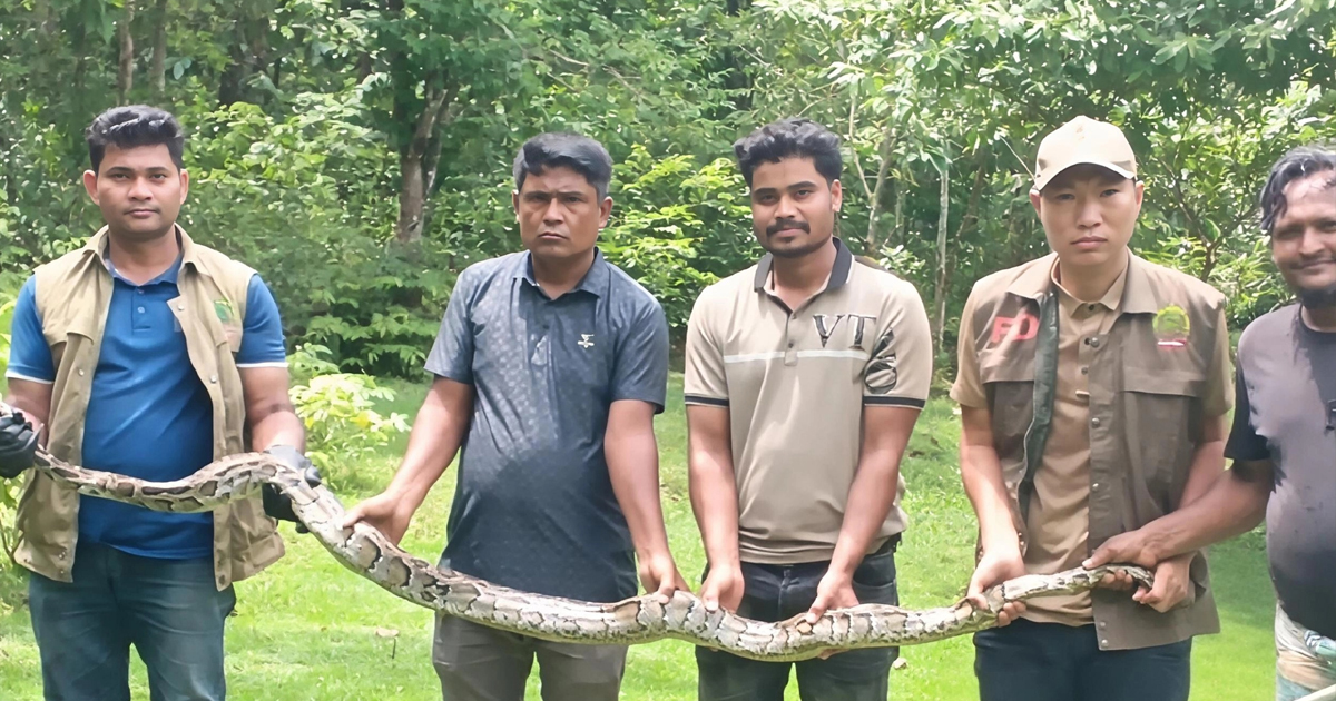 টেকনাফের রোহিঙ্গা ক্যাম্প থেকে ১৩ ফুট দৈর্ঘ্যের বার্মিজ অজগর উদ্ধার