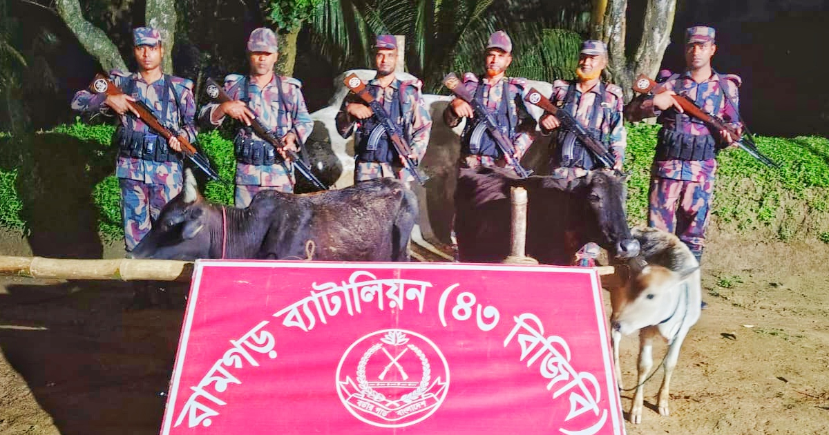 বিজিবিকে দেখে গরু ফেলে ভারতে পালালেন দুই চোরাকারবারি