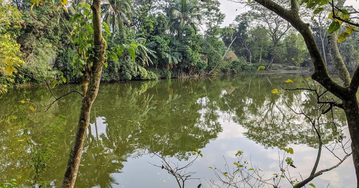 চন্দনাইশে পুকুরে ডুবে শিশুর মৃত্যু