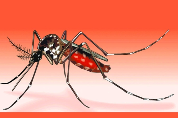 চট্টগ্রামে একদিনেই সেঞ্চুরি করলো ডেঙ্গু