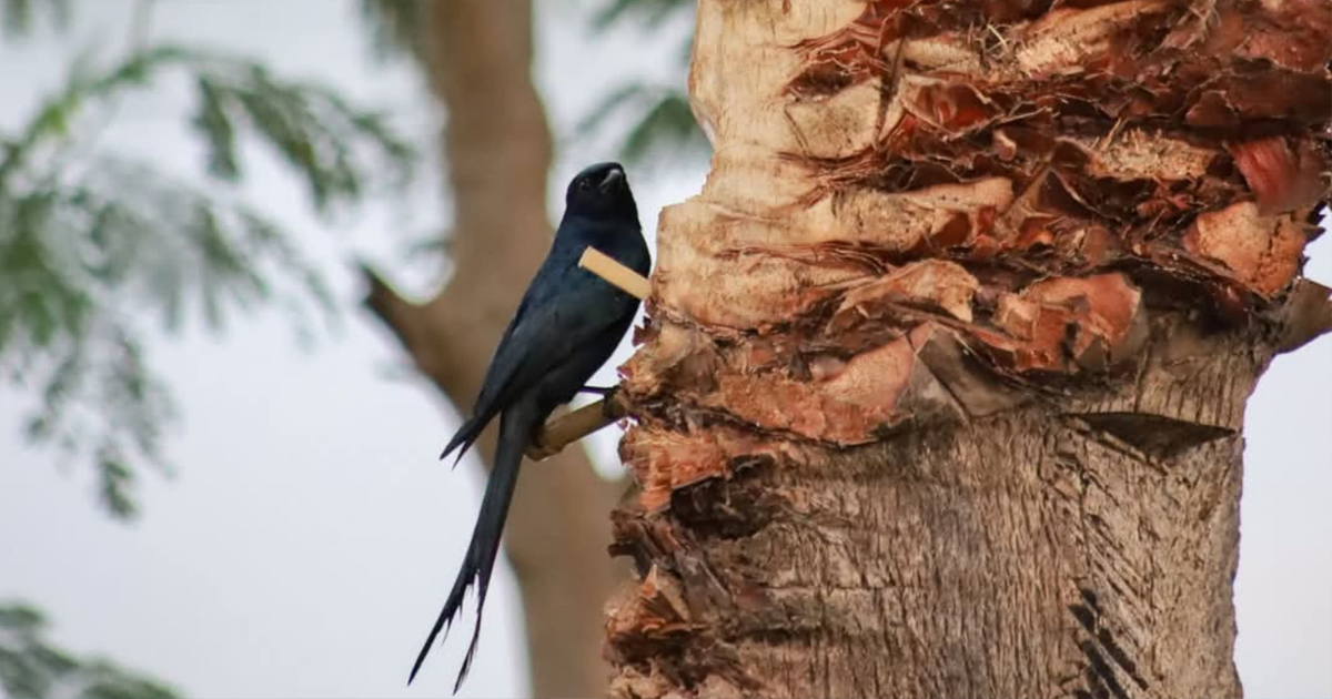 শীত এসে গেছে