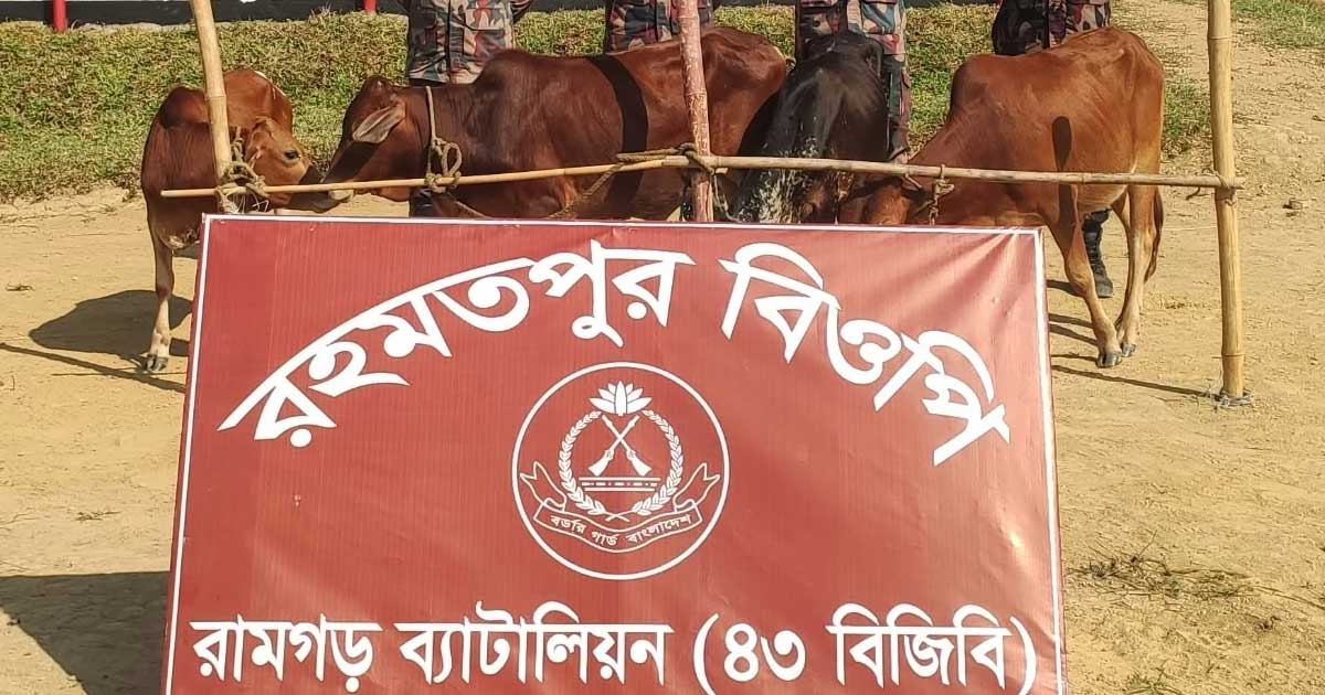 ফটিকছড়ি সীমান্তে ৪ ভারতীয় গরু জব্দ
