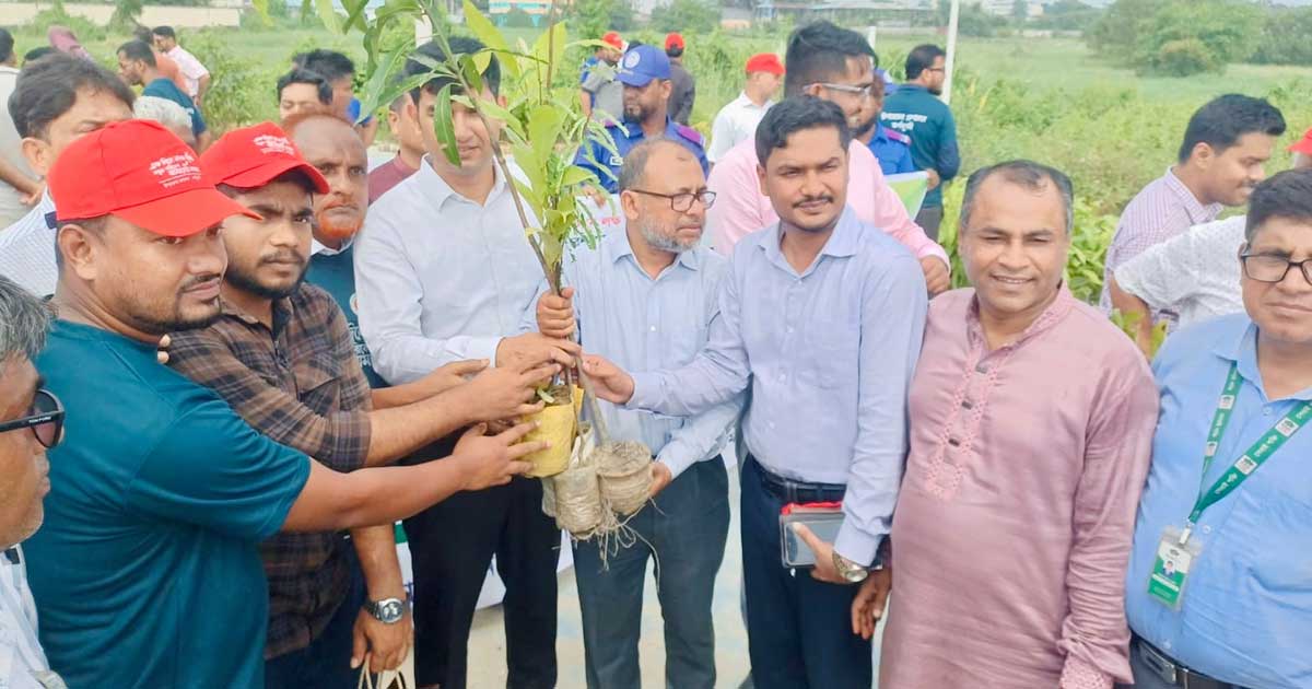 কর্ণফুলীতে বৃক্ষরোপণ কর্মসূচি: মমতার ৪,৫০০ চারা বিতরণ