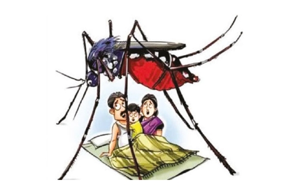 চট্টগ্রামে হু হু করে বাড়ছে ডেঙ্গু রোগী, মশা মারতে চসিকের নতুন কামান