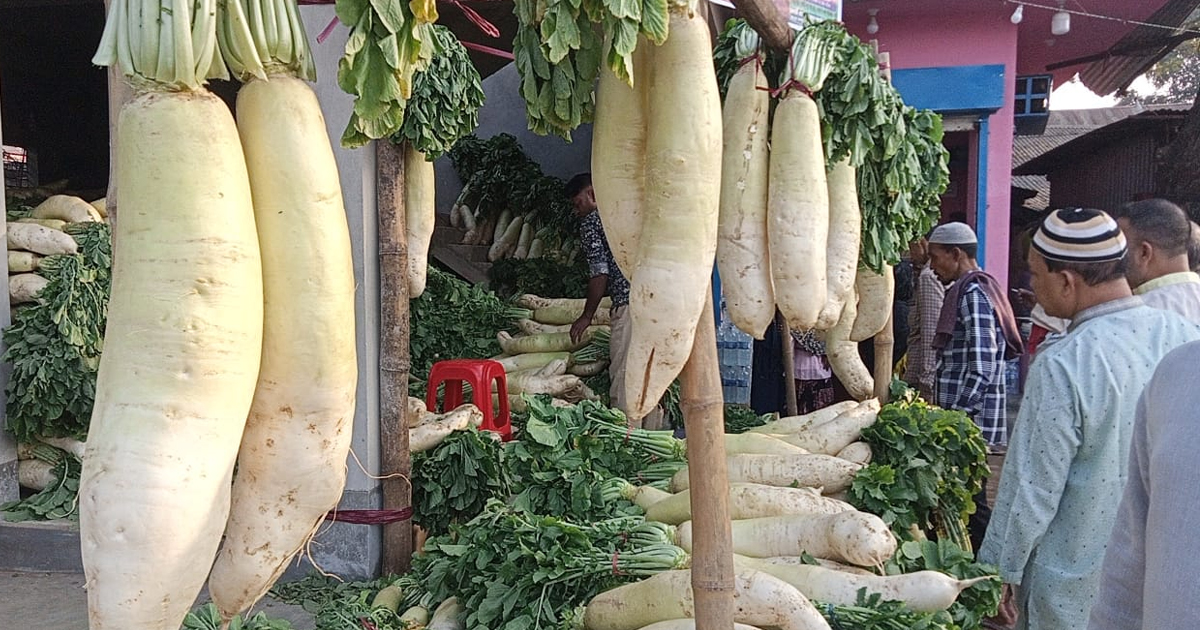 কাঁধে নিতে হয় যে মুলা, দাম ৪০০!